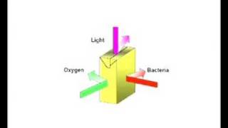 Tetra Pak Recycling Tetra Pak Recycling